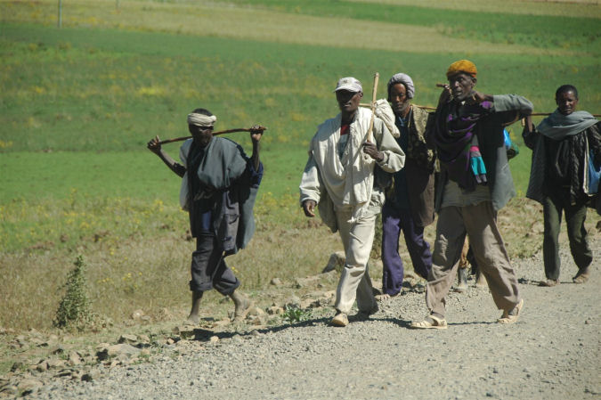 etiopscy piechurzy